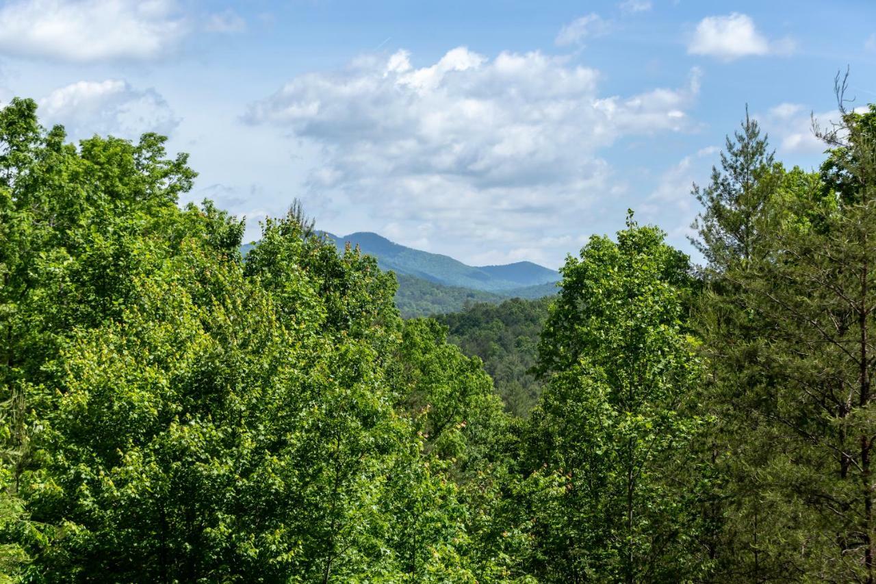 Day Dreamer Mineral Bluff Exterior foto